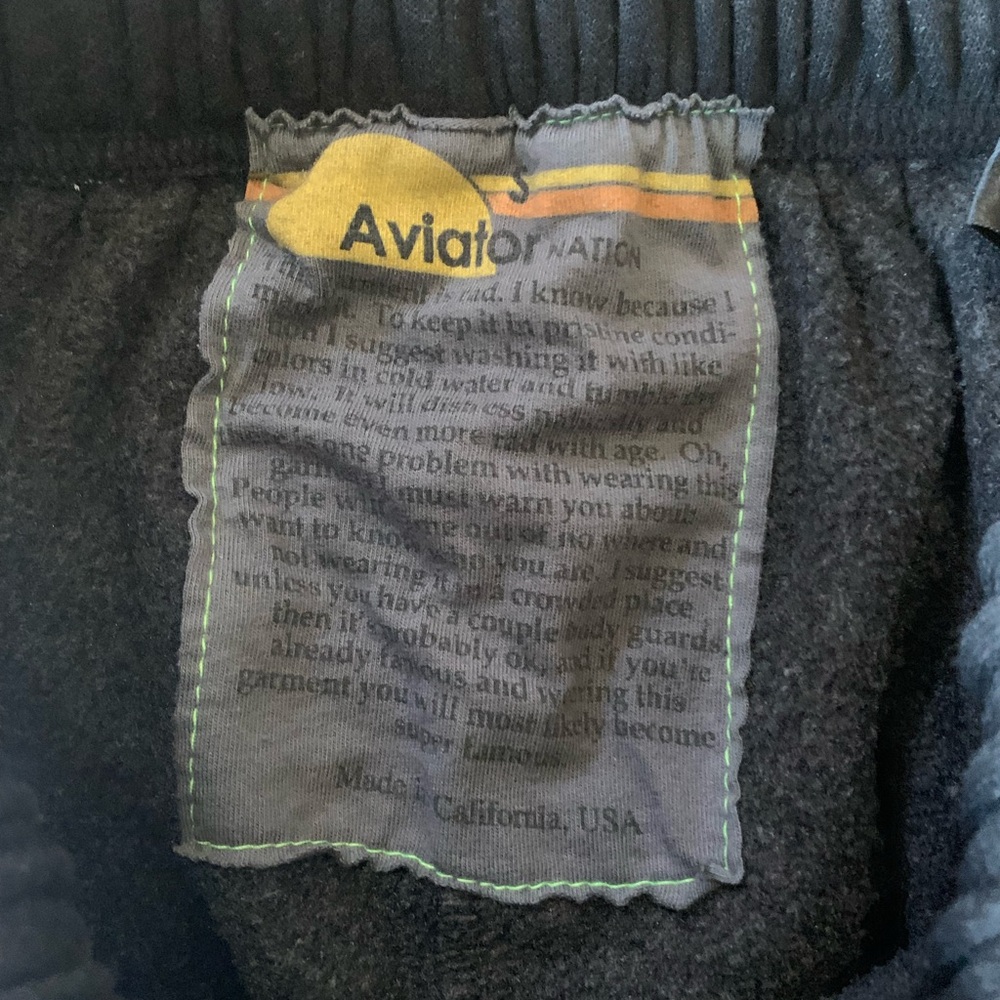 Aviator Nation Tiger Stripe Joggers - Picture 6 of 7